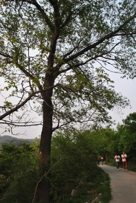 �����{���(d��ng)�o(j��)��(sh��)