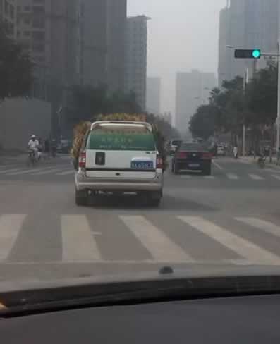 һ�����L�ľGɫ܇