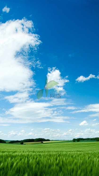 WZ125C���֙C(j��)�W(w��ng)վ���O(sh��)